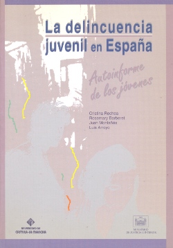 Ver detalles de LA DELINCUENCIA JUVENIL EN ESPAÑA. AUTOINFORME DE LOS JÓVENES  1995