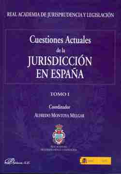 Ver detalles de CUESTIONES ACTUALES DE LA JURISDICCIÓN EN ESPAÑA (TOMOS I-II) 2009